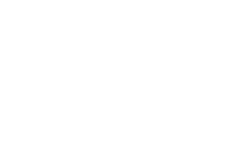 FREDIANI